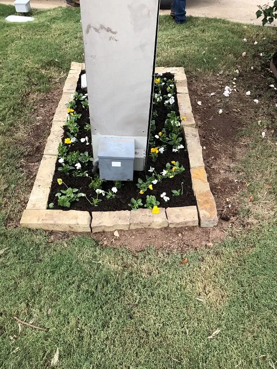 Plants around light poles